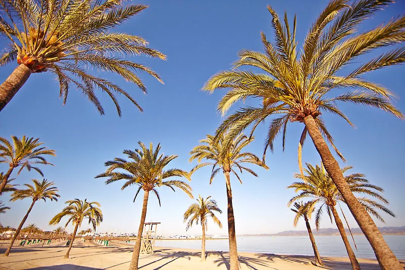 Indico Rock Hotel Mallorca - Adults Only Playa de Palma  Playa de Palma (Mallorca)